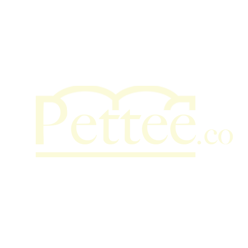 Pettee.co